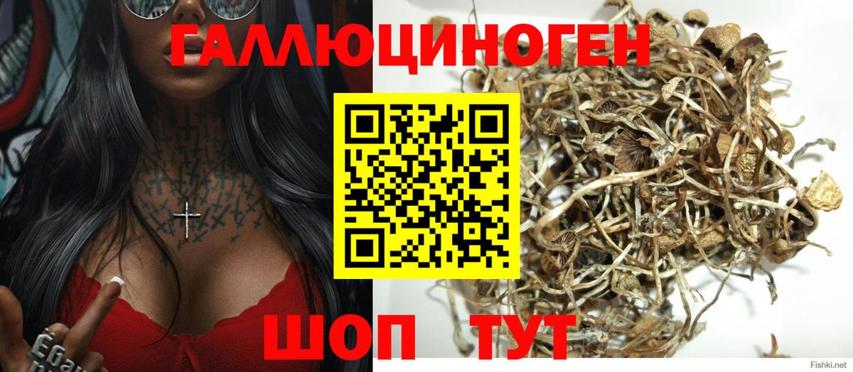 Галлюциногенные грибы MAGIC MUSHROOMS  Вход с VPN  Ленинск-Кузнецкий 